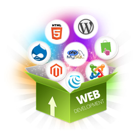 Best Website Developement Company in Delhi